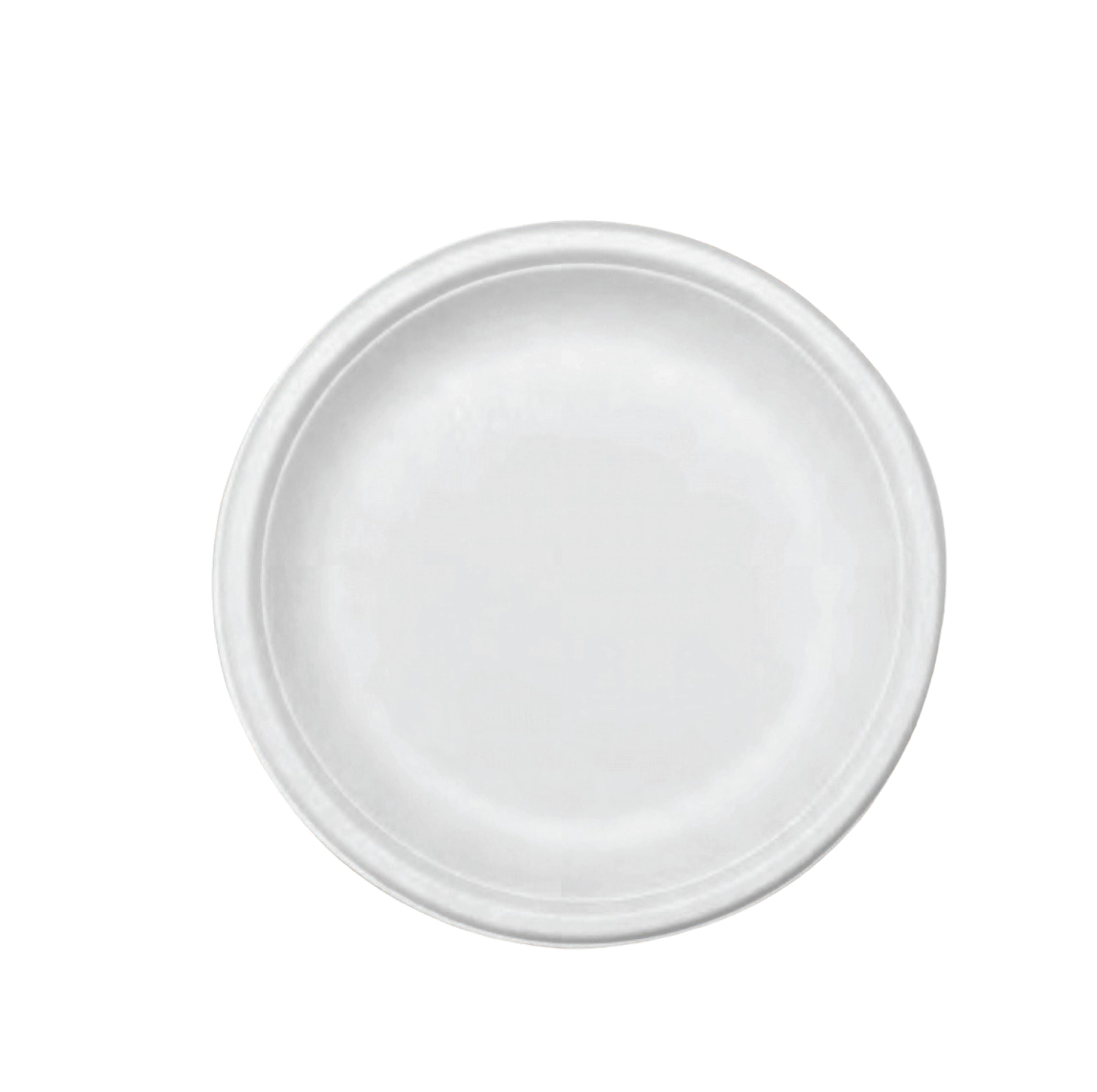 9" Round Plate (Plain) - product photo 1